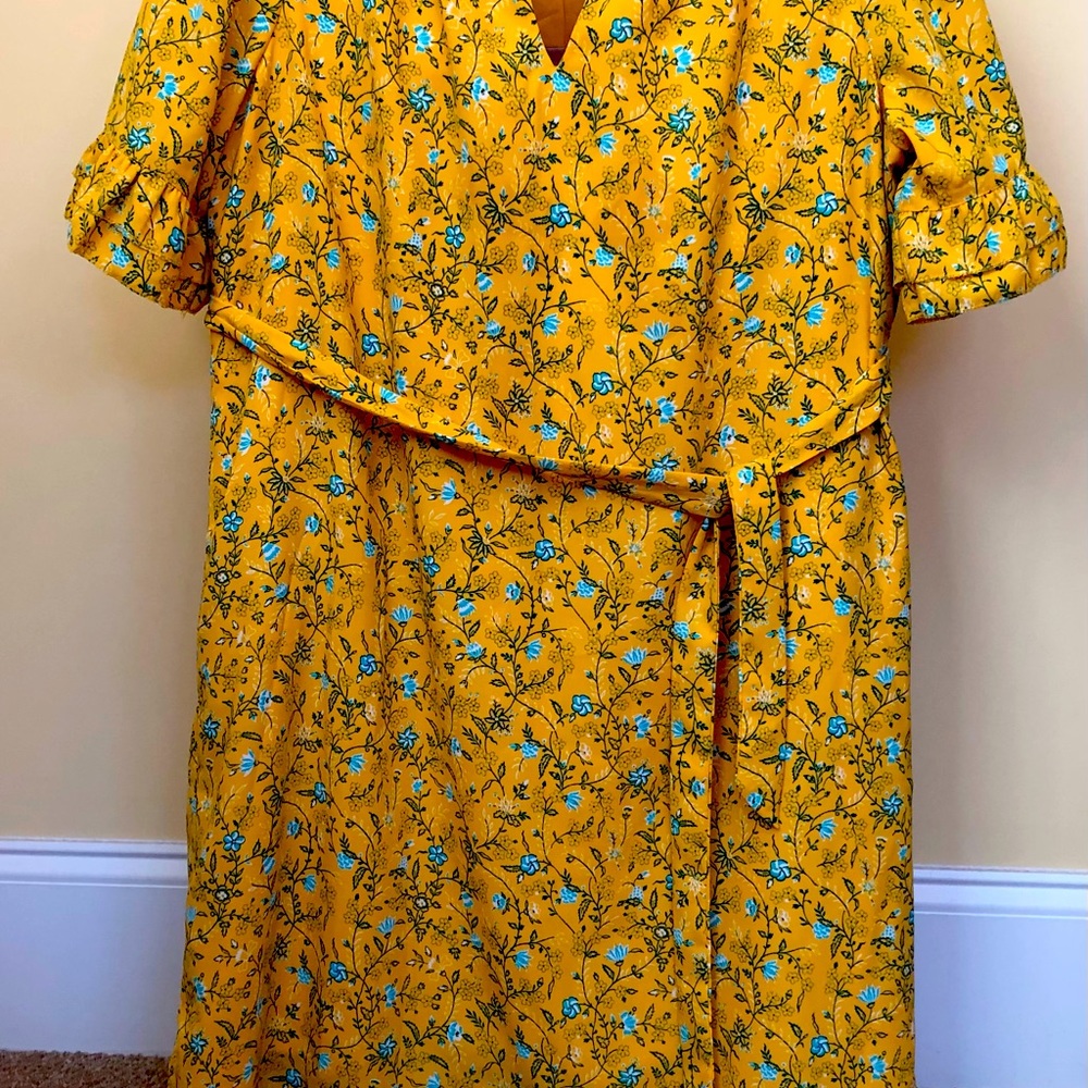 Kari Blue beautiful flower dress